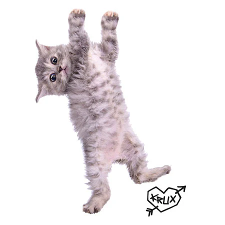Krux Kitty Hanger Sticker